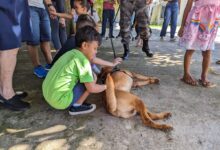 Photo of Crianças autistas participam de sessão de terapia com cães do Bope em Macapá | Amapá