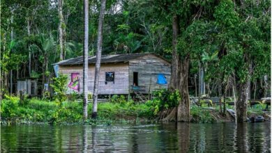 Photo of Exposição ‘Minha Aldeia’ reúne fotografias inspiradas no cotidiano amapaense | Amapá