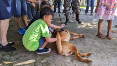 Photo of Crianças autistas participam de sessão de terapia com cães do Bope em Macapá | Amapá