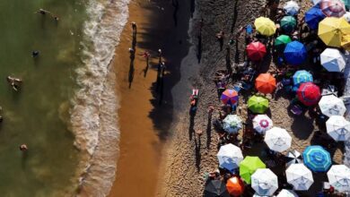 Photo of Belezas naturais, diversidade marinha e descobertas da ciência: conheça os encantos do Espírito Santo | Globo Repórter