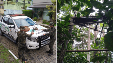 Photo of Homem é preso em flagrante por caça ilegal durante operação da PM Ambiental no interior de SP | Santos e Região