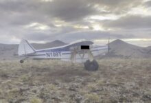 Photo of Chifres de alce e excesso de peso causaram queda de avião nos EUA, diz relatório