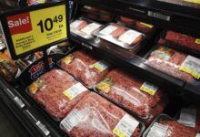 Photo of Não é só tarifaço: mosca mortal também pode aumentar preço da carne bovina nos EUA