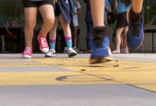 Photo of Sem atualização pelos últimos quatro anos, governo não sabe dizer quantos beneficiários do BPC estão na escola | Política